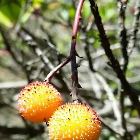 アパート Bel Orizonte, Grand 70m2 Vue